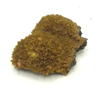 Wulfénite sur Pyromorphite, Les Farges, Ussel, Corrèze.