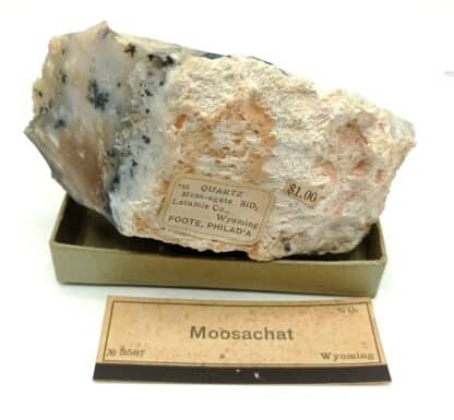 Moosachat (Agate mousse), Laramie, Wyoming, USA (États-Unis).