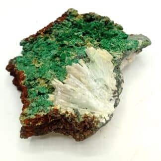 Pseudo de Bournonite en Malachite et Baryte, Uscla du Bosc, Hérault.