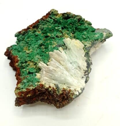 Pseudo de Bournonite en Malachite et Baryte, Uscla du Bosc, Hérault.