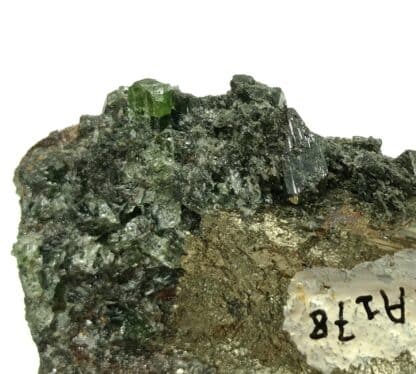 Ludlamite et Pyrite, mine de Salsigne, Mas Cabardès, Aude.