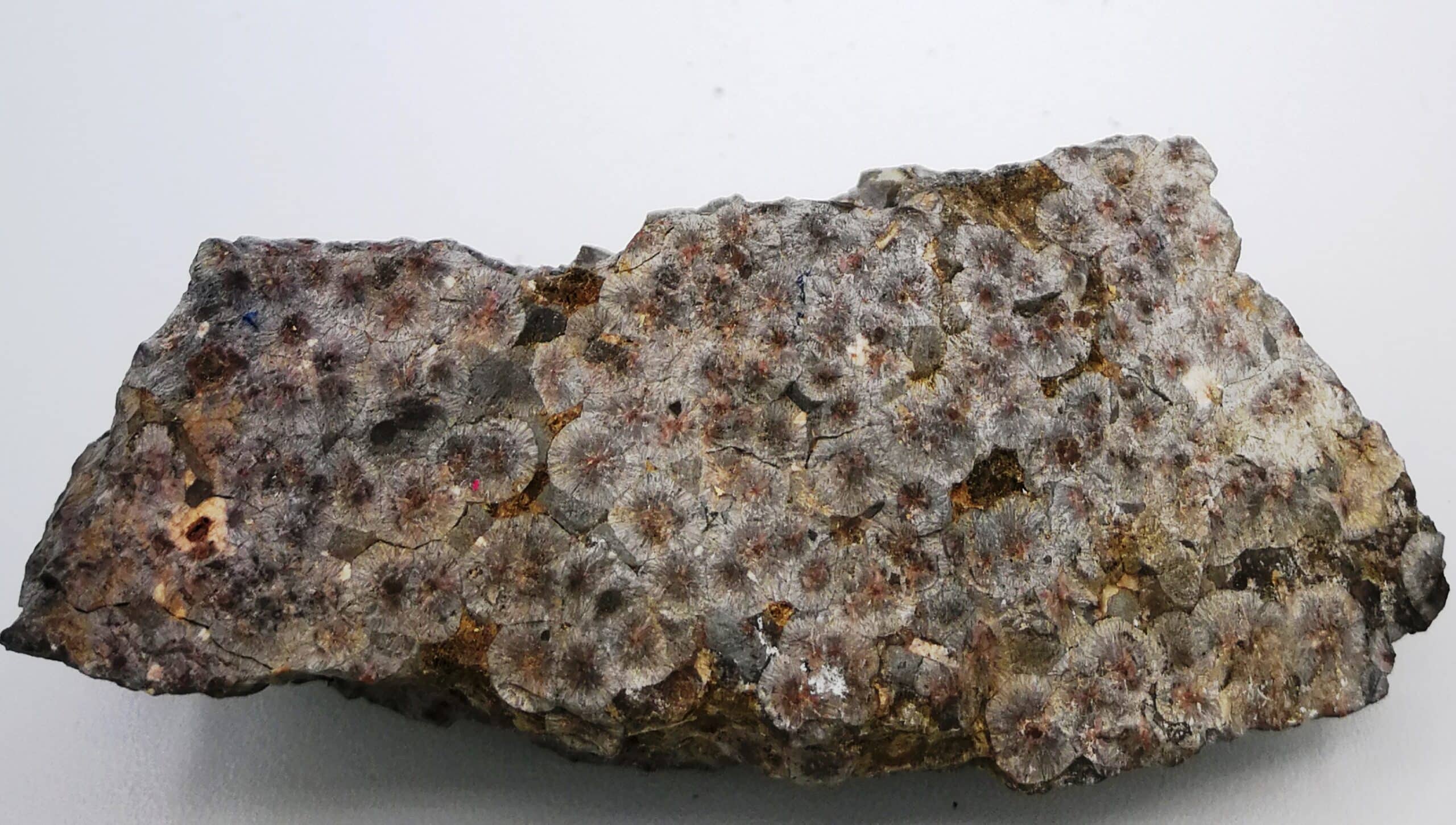 Variolite, Le Chenaiilet, Briancon, Hautes alpes.