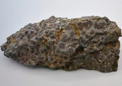 Variolite, Le Chenaiilet, Briancon, Hautes alpes.