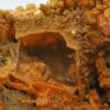 Plumbogummite pst pyromorphite, Galene, le Beauvoir.