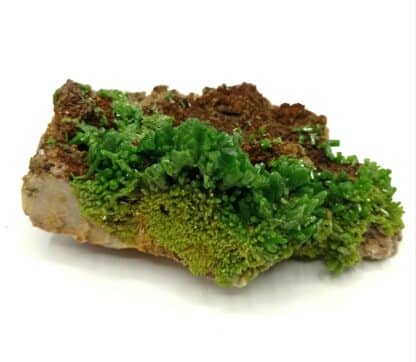 Pyromorphite, Mine des Farges, Ussel, Corrèze, Limousin.