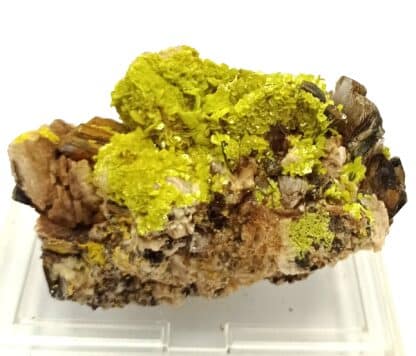 Autunite et Muscovite, Vénachat, Haute-Vienne, Limousin.