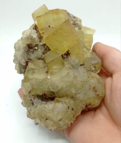 Fluorite maclée, Jorf, Drâa-Tafilalet, Maroc.