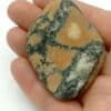 Hornblende, Rheinkoreektion, Saint Gallen, Suisse.
