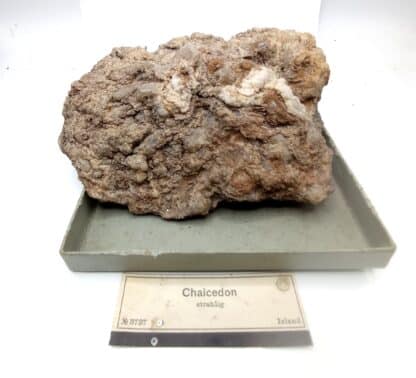 Chalcedon (Calcédoine) et Coraux fossiles, Islande.