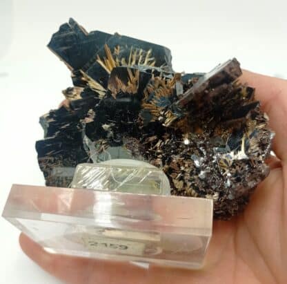 Hématite et Rutile, Ibitiara, Bahia, Brésil.