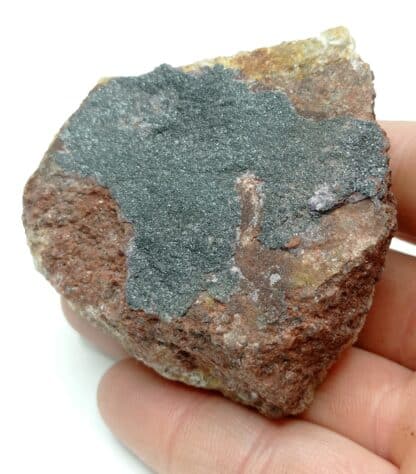 Eisenglimmer auf granit (Hématite), Egg bei Säckingen, Allemagne.