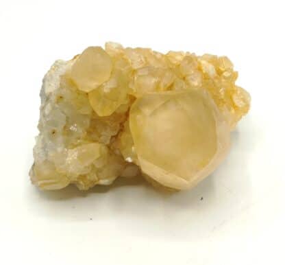 Calcite maclée, Landelies, Montigny-le-Tilleul, Hainaut, Belgique.