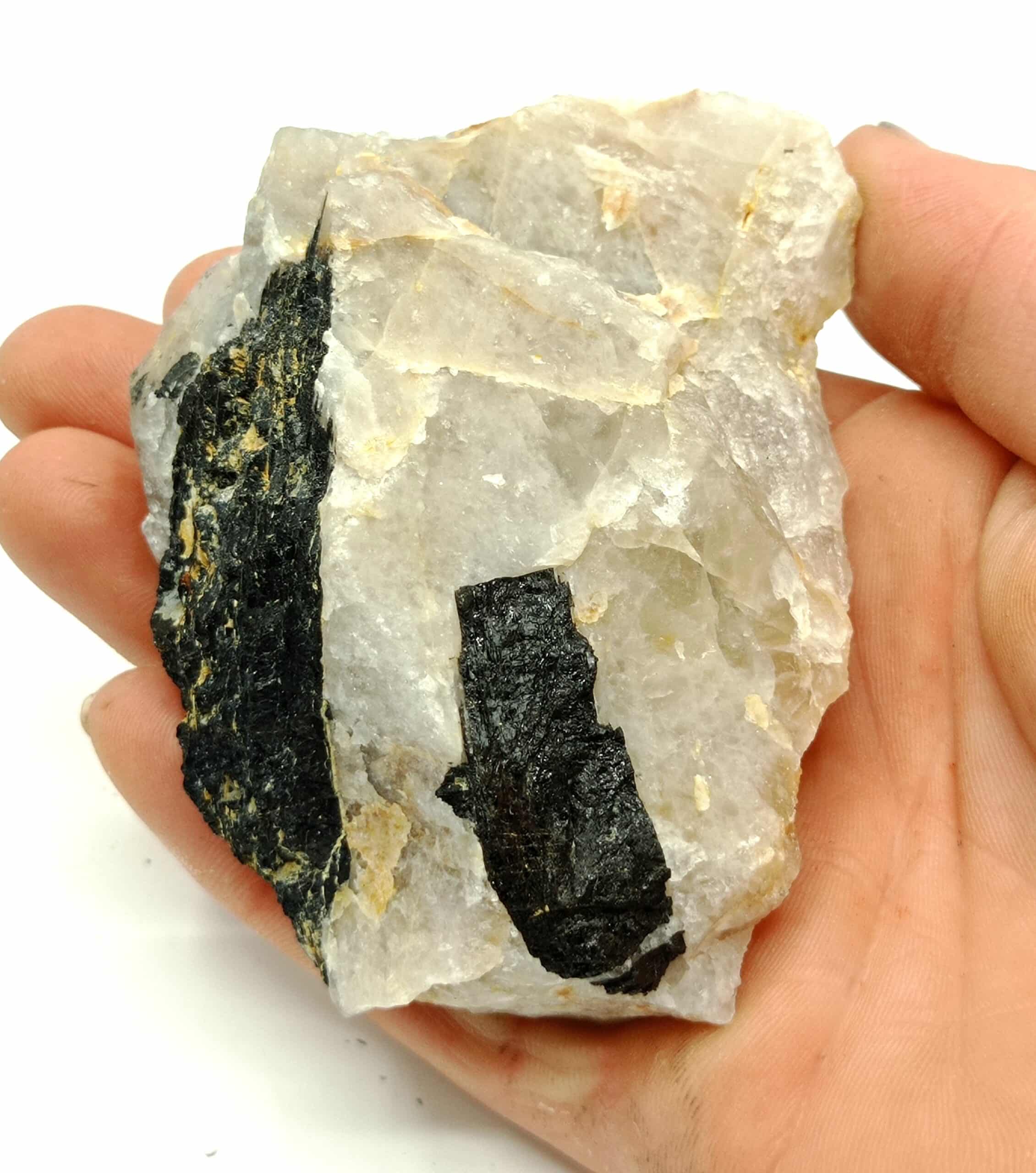 Tourmaline, Beauchaud, Forez, Puy-de-Dôme, Auvergne.