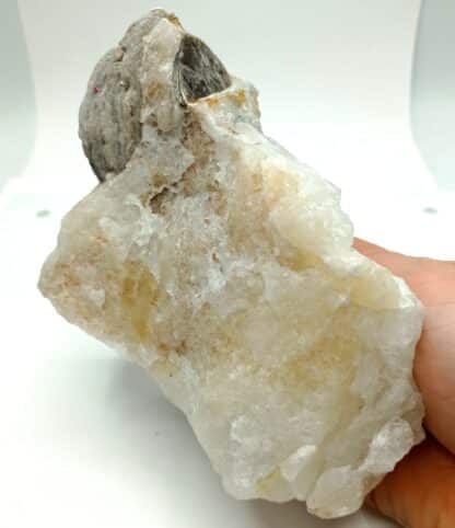 Muscovite et Quartz, Beauchaud, Saint-Pierre-la-Bourlhonne, Puy-de-Dôme.