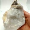 Muscovite et Quartz, Beauchaud, Saint-Pierre-la-Bourlhonne, Puy-de-Dôme.