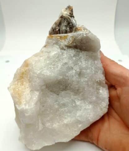 Muscovite et Quartz, Beauchaud, Saint-Pierre-la-Bourlhonne, Puy-de-Dôme.