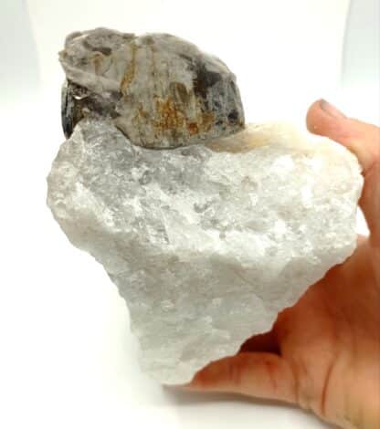 Muscovite et Quartz, Beauchaud, Saint-Pierre-la-Bourlhonne, Puy-de-Dôme.