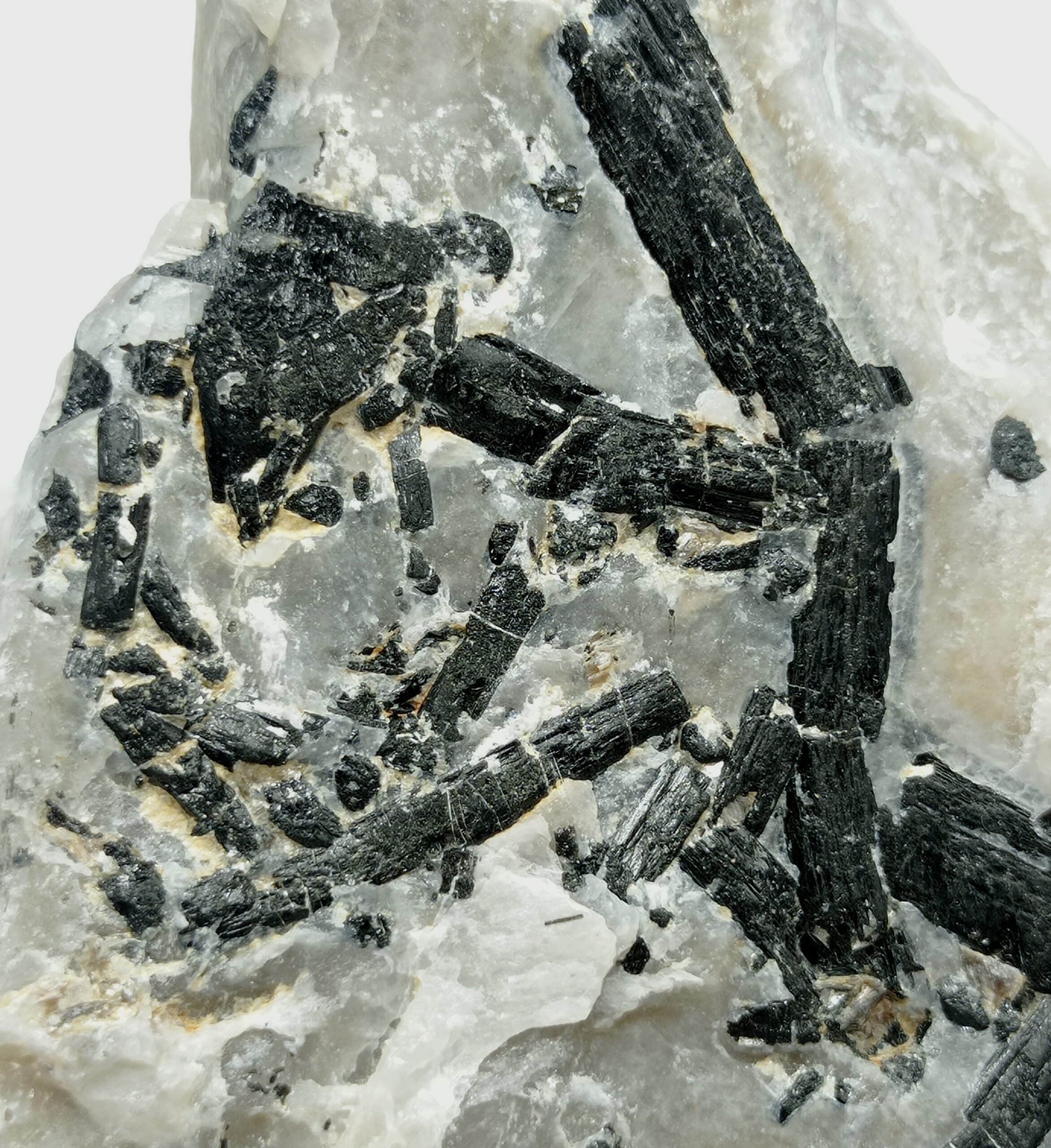 Schorl (Tourmaline), Beauchaud, Forez, Puy-de-Dôme, Auvergne.