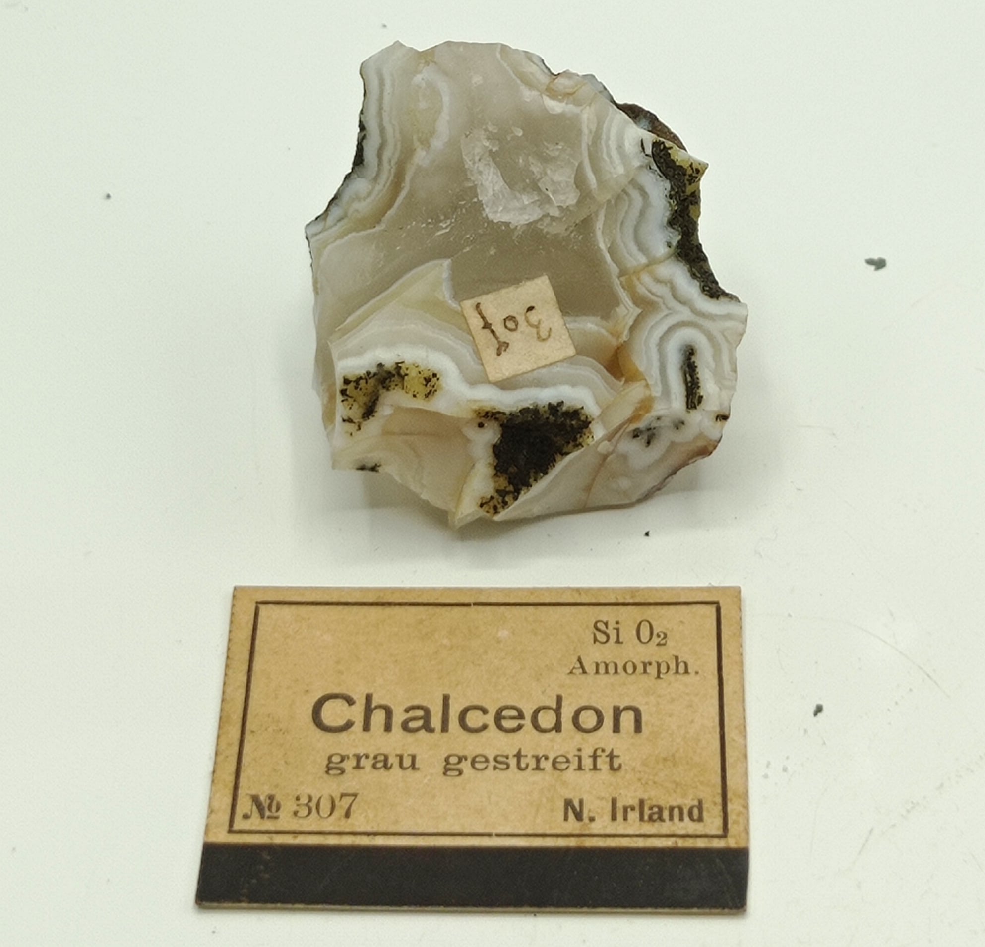 Chalcedon (Calcédoine), Irlande du Nord.