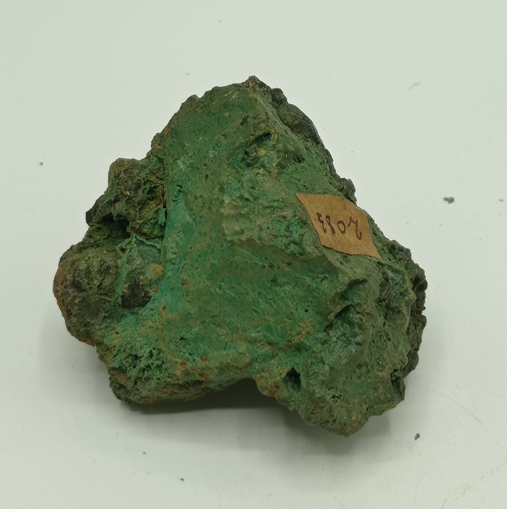 Nickelgymnit (Antigorite, Garniérite), Neu-Seeland (Nouvelle-Zélande).