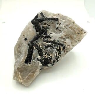 Schorl (Tourmaline), Beauchaud, Forez, Puy-de-Dôme, Auvergne.