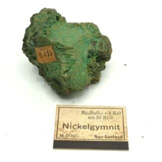 Nickelgymnit (Antigorite, Garniérite), Neu-Seeland (Nouvelle-Zélande).