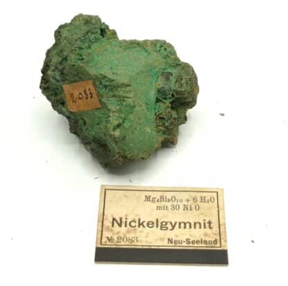 Nickelgymnit (Antigorite, Garniérite), Neu-Seeland (Nouvelle-Zélande).