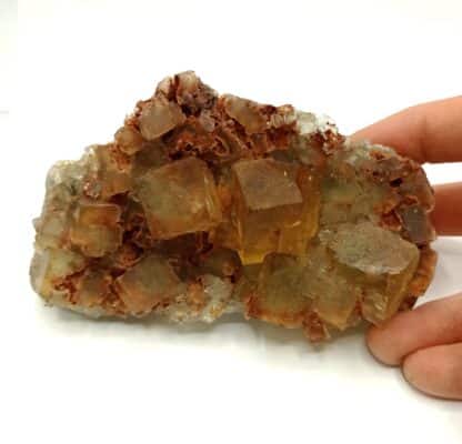 Fluorite maclée, Jorf, Drâa-Tafilalet, Maroc.