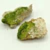 Lot de 2 Pyromorphite verte, Nant, Millau, Aveyron.