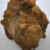 Conglomérat de Calcédoine (Chalcedon) , Uruguay.