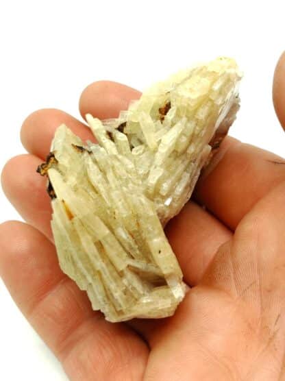 Barytine (Baryte), Voltennes, Saône-et-Loire, Morvan.