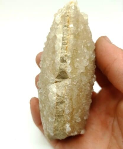 Calcit (Calcite) auf Kalkstein, Olten, Suisse.