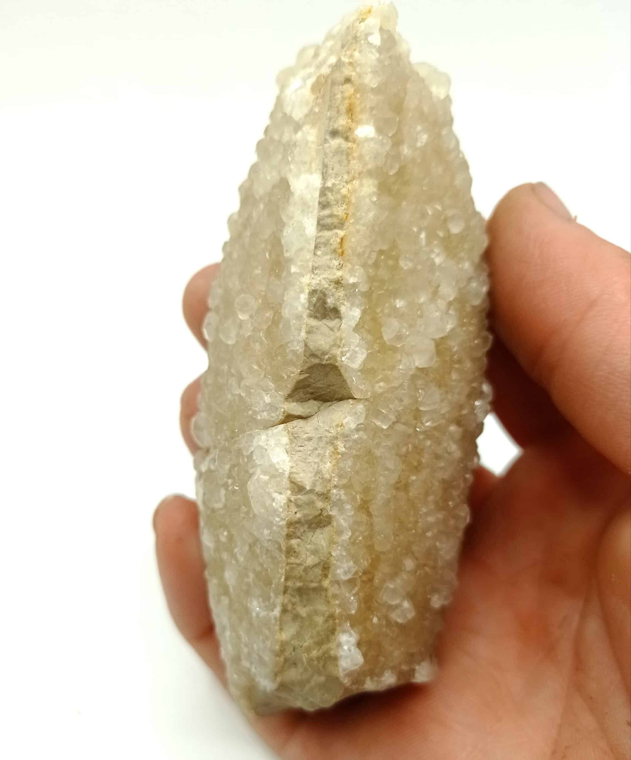 Calcit (Calcite) auf Kalkstein, Olten, Suisse.