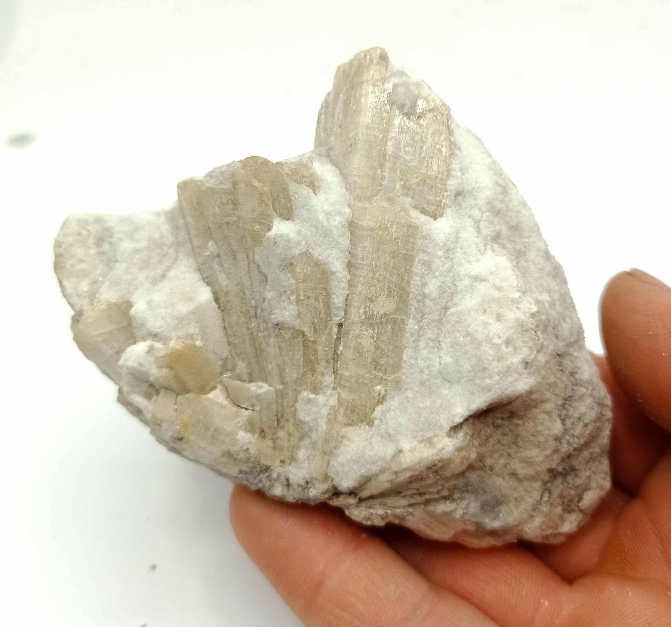 Trémolite, Campo Lungo, Tessin, Italie.