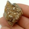 Willémite sur Sidérite, Le Rivet, Peyrebrune, Tarn.