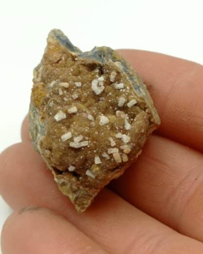 Willémite sur Sidérite, Le Rivet, Peyrebrune, Tarn.