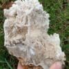 Aragonite, Salsigne, Aude.