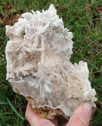 Aragonite, Salsigne, Aude.