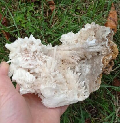 Aragonite, Salsigne, Aude.