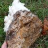 Aragonite, Salsigne, Aude.