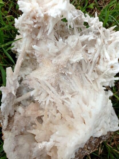 Aragonite, Salsigne, Aude.