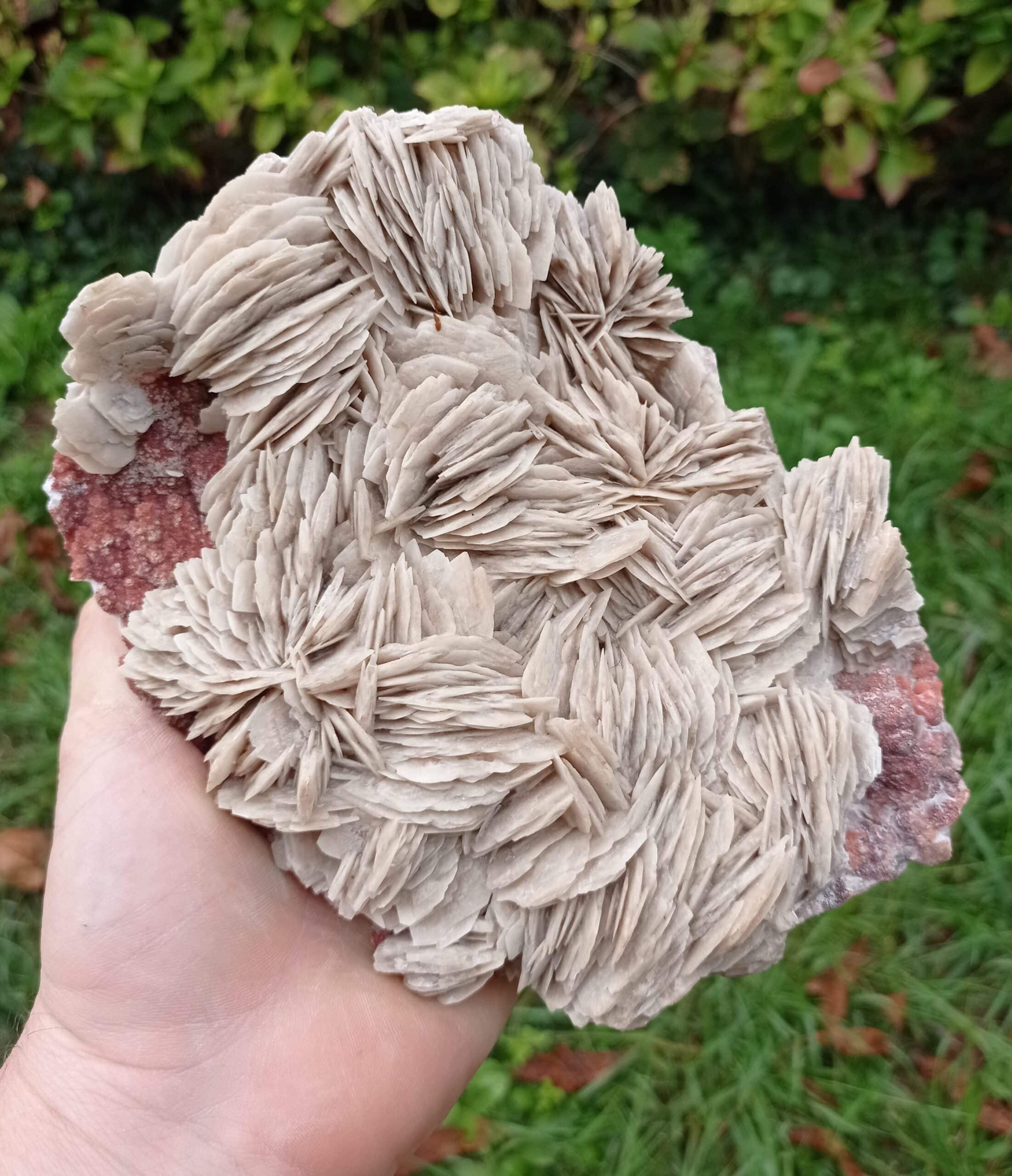 Baryte (Barytine), Filon René bis, Voltennes, Saône-et-Loire, Morvan.