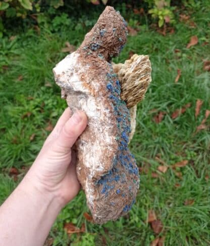 Tétraédrite pseudo en Azurite, et Baryte, Usclas du Bosc, Loiras, Hérault.