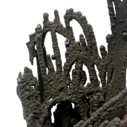 Pyrolusite stalactiforme, Peyreblanque, Tarn.