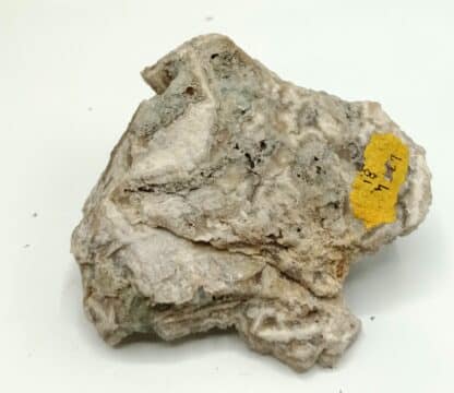Fluorine (Fluorite) sur Quartz, Marsanges, Haute-Loire, Auvergne.