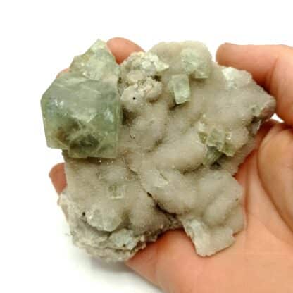 Fluorine (Fluorite) sur Quartz, Marsanges, Haute-Loire, Auvergne.