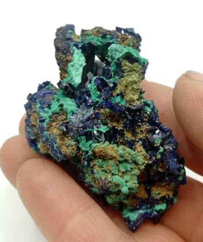 Azurite et Malachite, Touissit, Maroc.