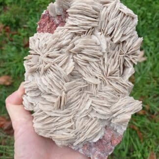 Baryte (Barytine), Filon René bis, Voltennes, Saône-et-Loire, Morvan.