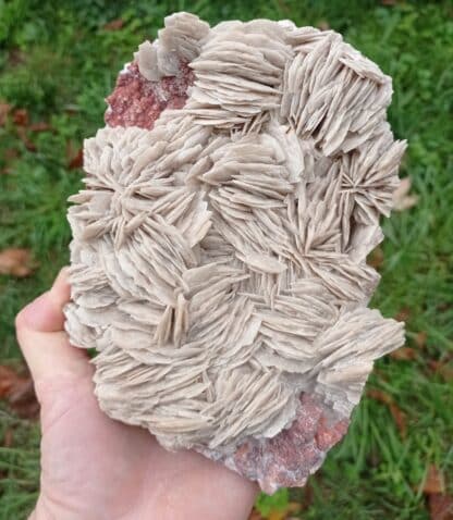 Baryte (Barytine), Filon René bis, Voltennes, Saône-et-Loire, Morvan.