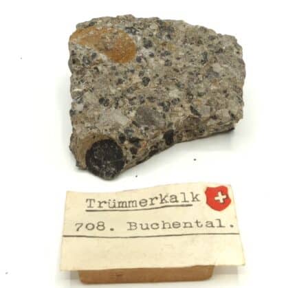 Trümmerkalk, Buchental, Suisse.